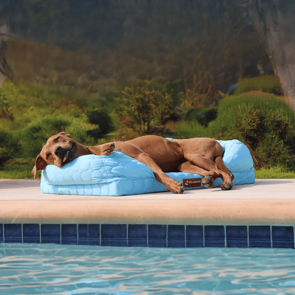 Premium Comfort, Lifesaving Impact