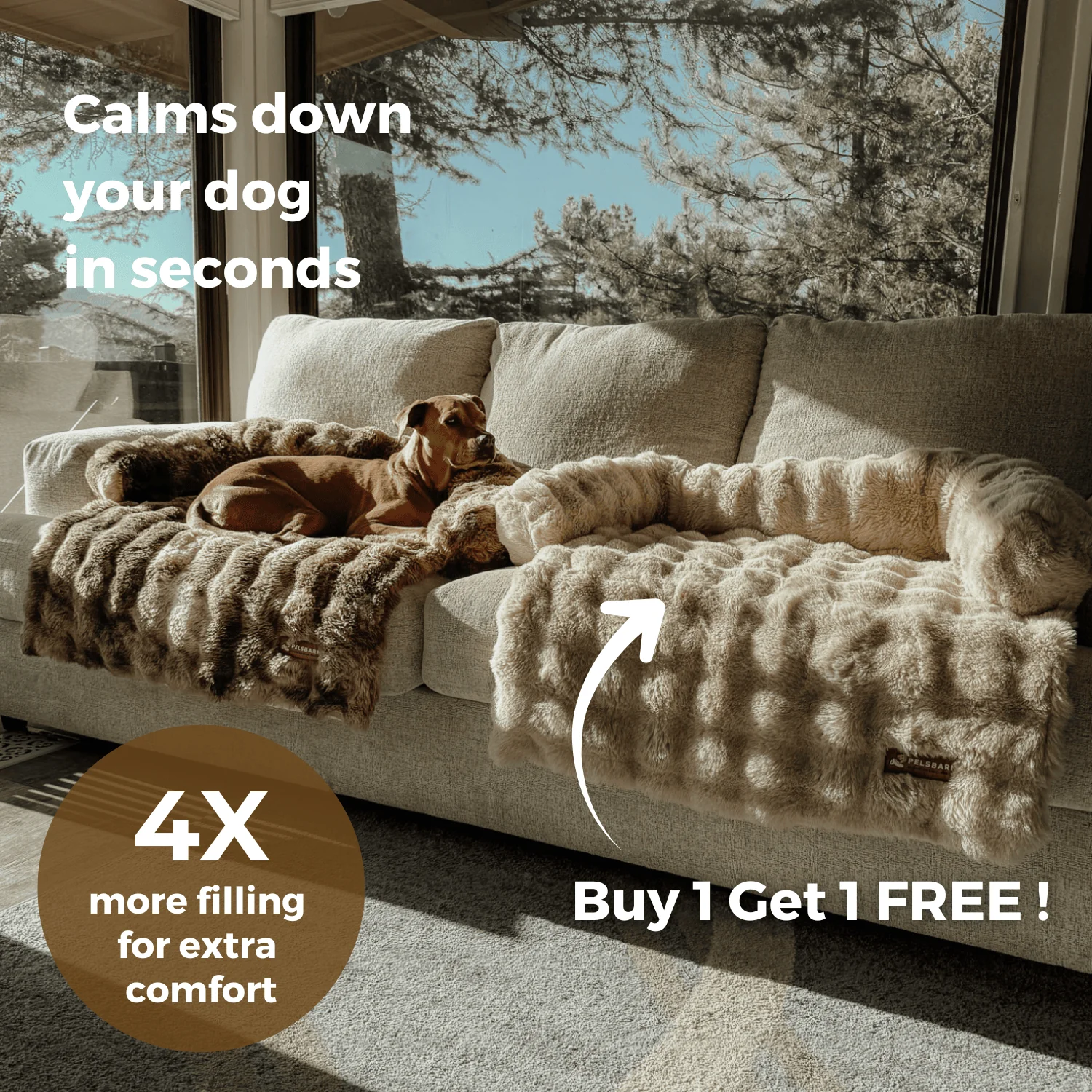 Sofa Beds